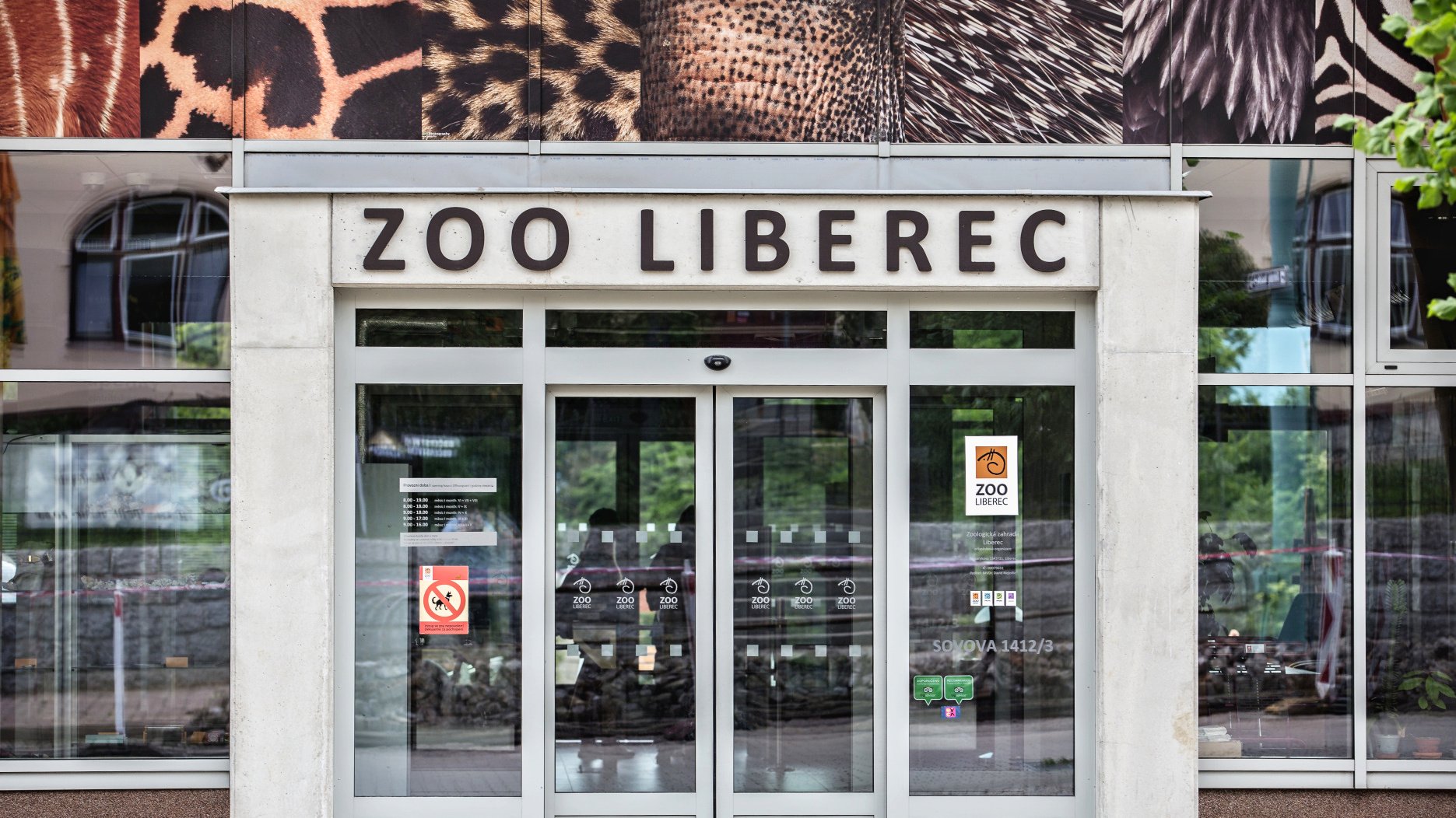 V sobotu s Tygry na Mezinárodní den zvířat do ZOO! | Bílí Tygři Liberec